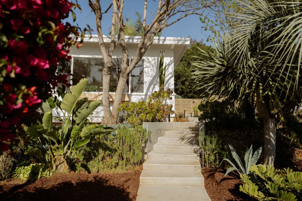 shot of stairs up to a white house with an overgrown garden